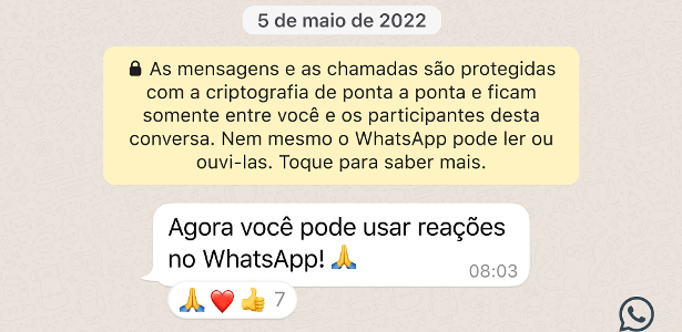 WhatsApp: Como Usar as Reações