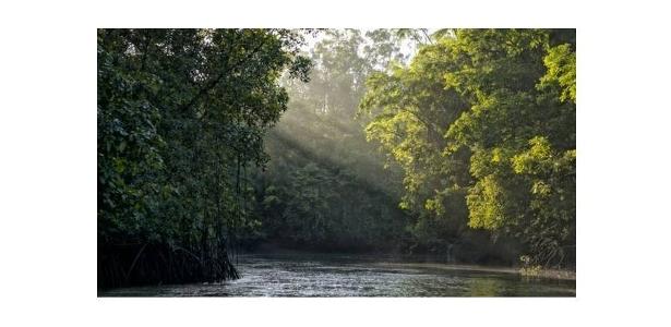 Ratanabá: por que lenda de ‘cidade perdida na Amazônia’ não faz sentido – 15/06/2022