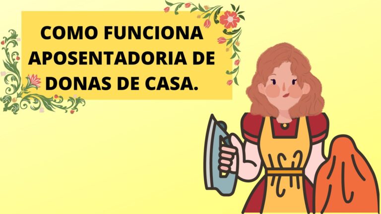 Como funciona aposentadoria de donas de casa.